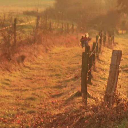 Modern In Vaux-sur-sure With Sauna *