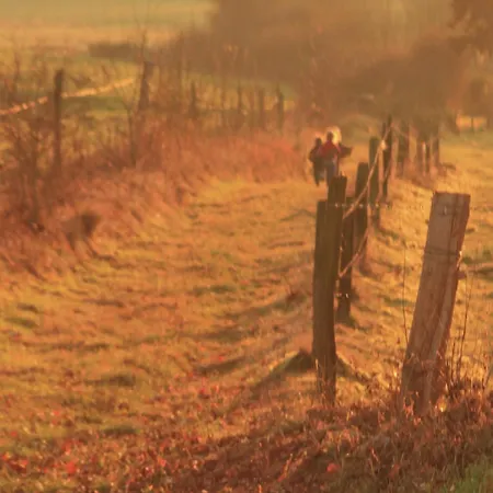 Modern In Vaux-sur-sure With Sauna Vakantiehuis
