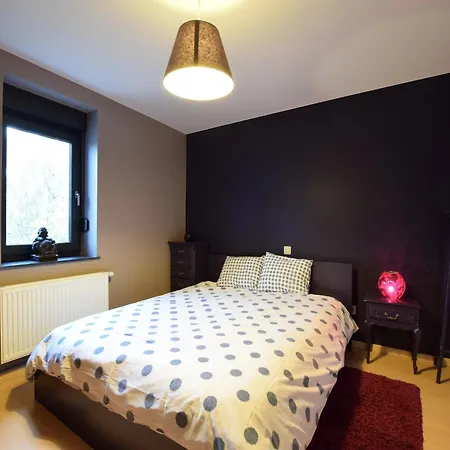 Modern In Vaux-sur-sure With Sauna Vakantiehuis