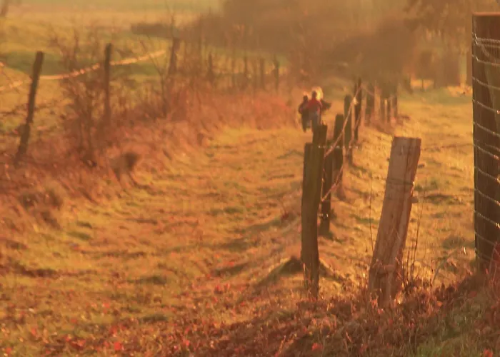Modern In Vaux-sur-sure With Sauna Ferienhaus